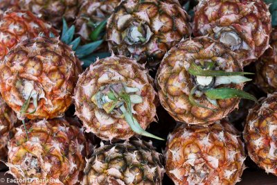 Sugar Loaf Pineapples