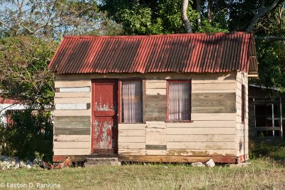 Cottage and Fighting Roosters