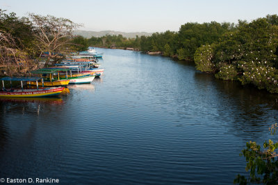 Up the Negril River