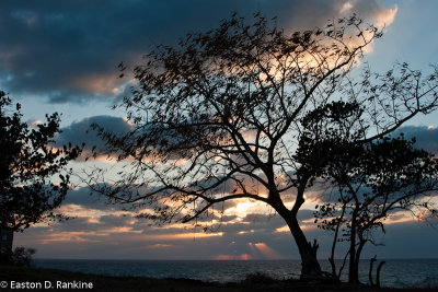 Negril Sunset IV