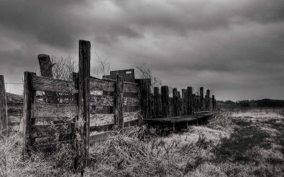 Old fence at Brazos Bend SP