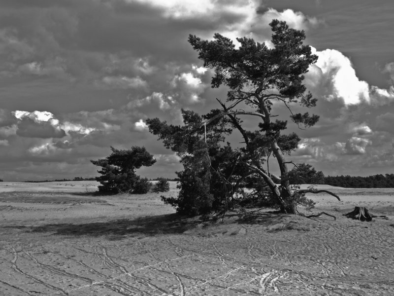 wuthering planes