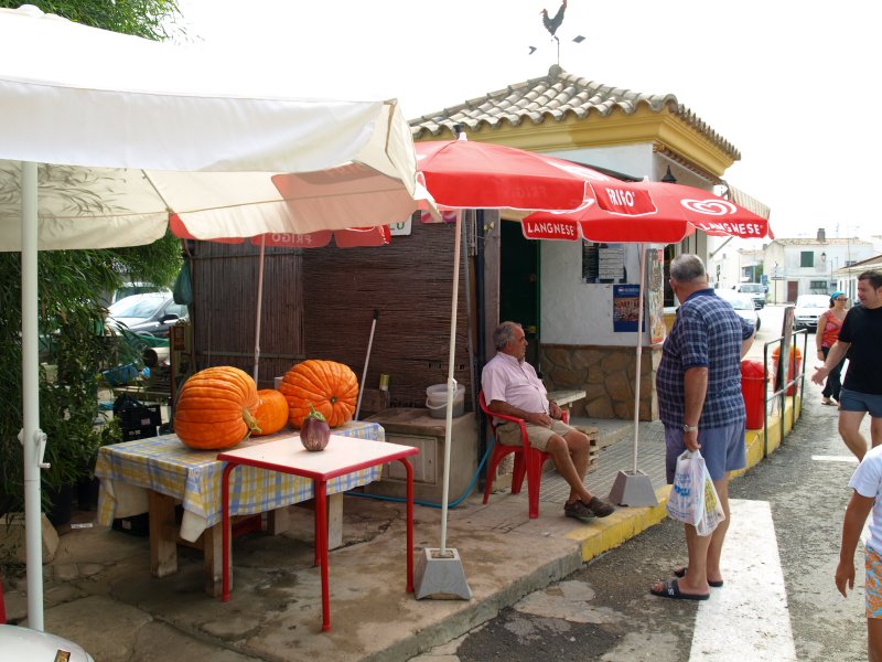 P8155807.JPG