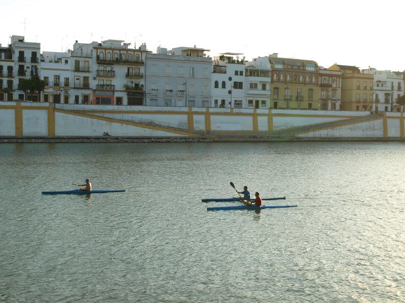 P8215937.JPG