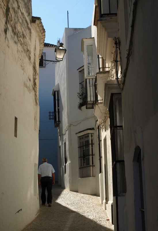 P8296230.jpg