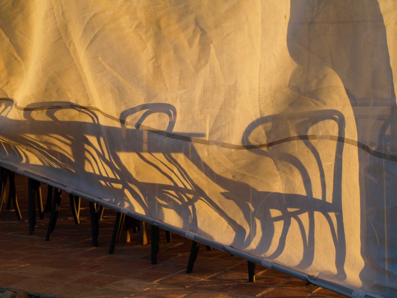PA206576.JPG