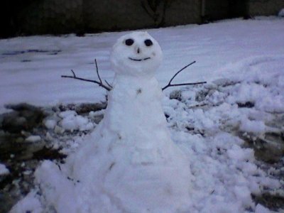 NC snowman...