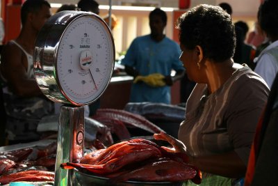 Cape Verde Fish Market