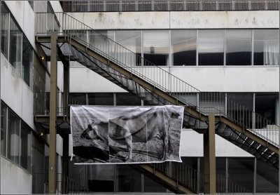 Brest, Faculté #03