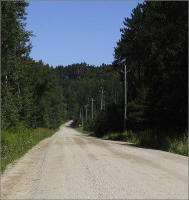 route 315 #02