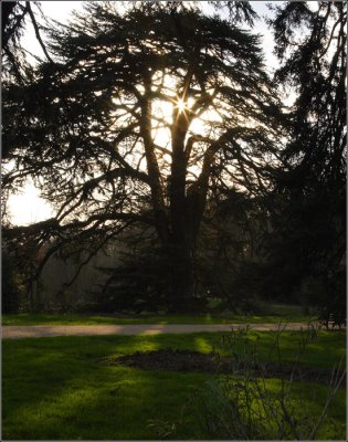 Sabl-sur-Sarthe #06