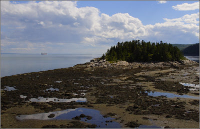 Port-Au-Saumon #12