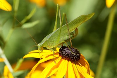 IMG_3990.JPG