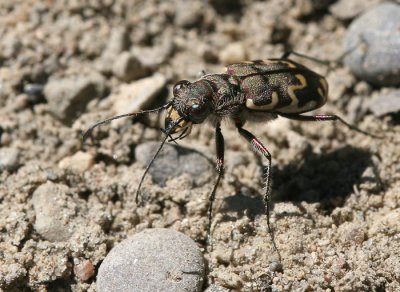 IMG_3846.jpg
