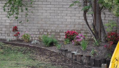 'the' corner