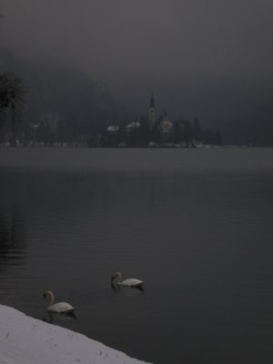 Bled Island, only slightly more visible from ground level.