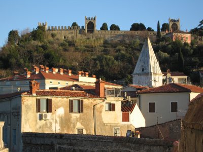 The old city walls, with olive trees on the hill below.