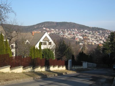 back in Budapest -- our neighborhood, looking away from the forest