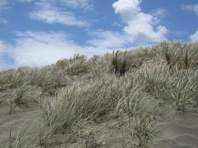 g3/08/76008/3/120985630.z4dN5tM3.jpg