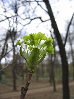 Proof of spring!