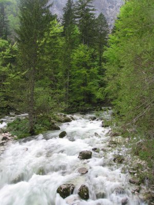 Bohinj, Slovenia