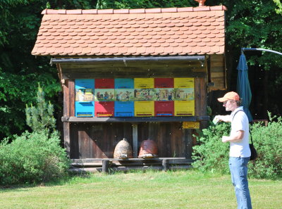 Rob with traditional Slovenian beehives --