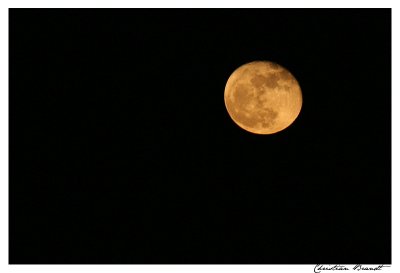 Moon light
