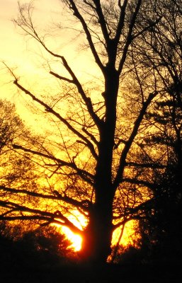 Sunset in Cadwalter Park