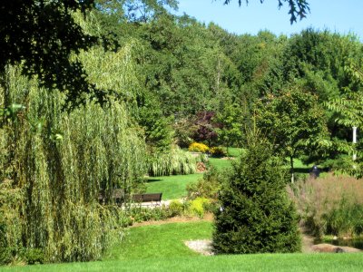 View At Sayen Gardens