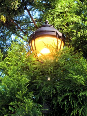 Sayen Gardens Lamp