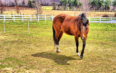 Coming Over to Say, Hello!