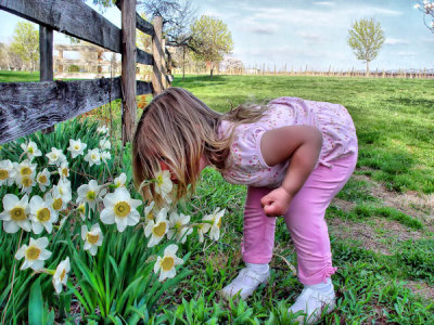 Exploring the Smells of Springtime