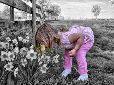 Exploring the Smells of Springtime