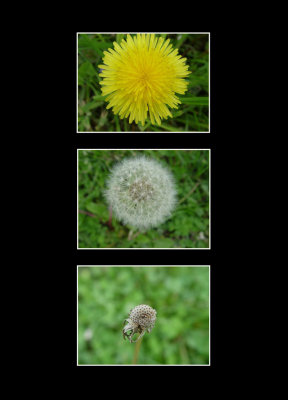 Cycle