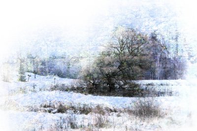 Winter scenes