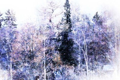 Image 22.jpg