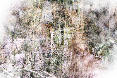Image 23.jpg