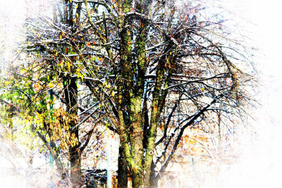Image 25.jpg