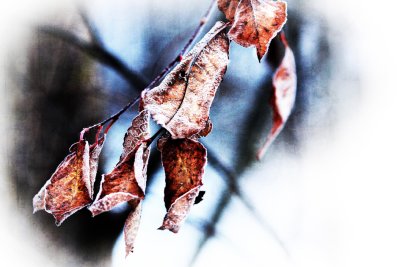 Image 32.jpg