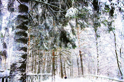 Image 38.jpg