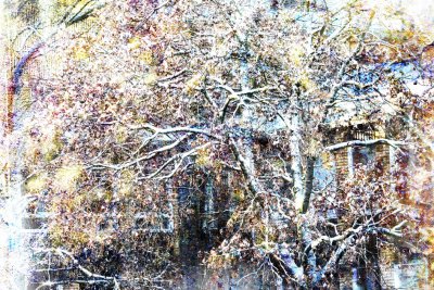 Image 40.jpg