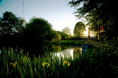 g3/08/856708/3/102343689.1Uiobfm4.jpg