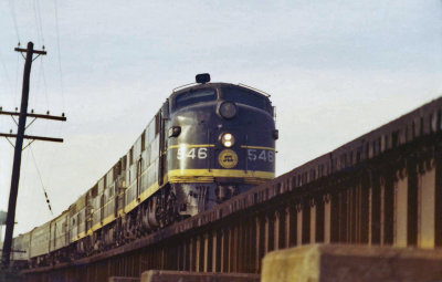SCL 546