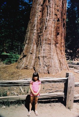g3/08/890008/3/120353932.T9Jg0aOr.jpg