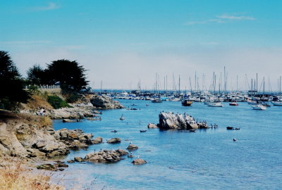 Seascape, Monterey, Calif.