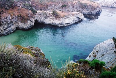Point Lobos State Park near Monterey.