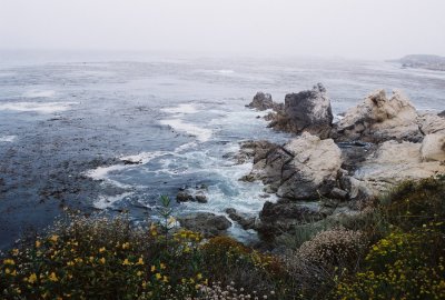 Point Lobos State Park near Monterey.
