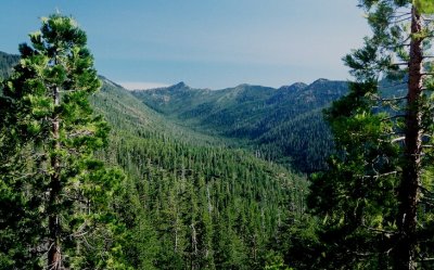 View of the Siskiyou Mts Middle Fork Smith River, Calif.