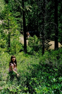 Searching for California Lady's-Slippers. Siskiyou Mts. Calif.