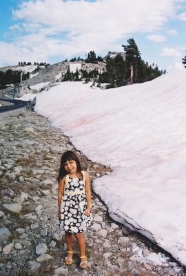 Lassen Nat'l Park.
